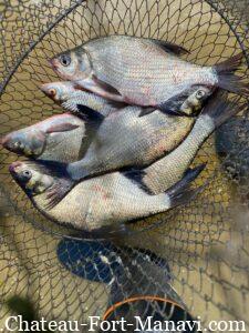 WhatsApp Image 2024-12-16 at 10.36.45