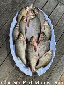 WhatsApp Image 2024-12-16 at 10.36.45(1)