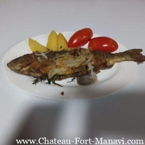 WhatsApp Image 2024-12-16 at 10.37.38