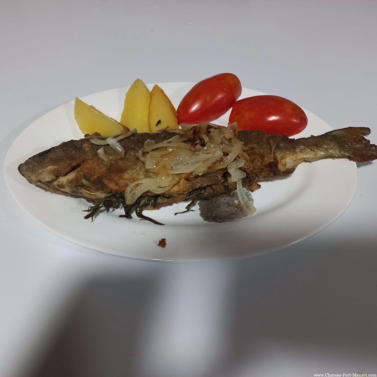 WhatsApp Image 2024-12-16 at 10.37.38