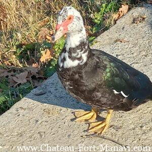 WhatsApp Image 2024-12-17 at 16.28.19