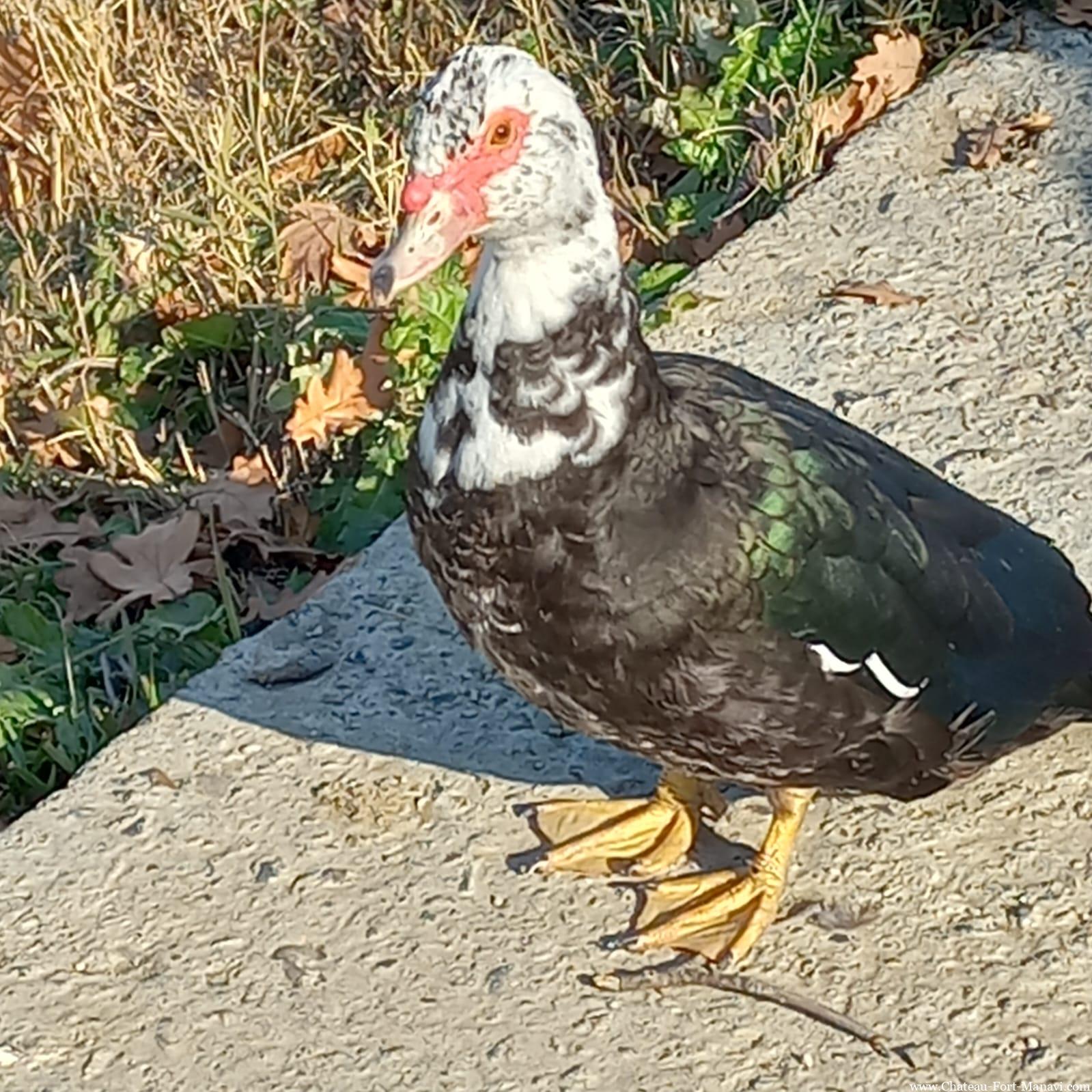 WhatsApp Image 2024-12-17 at 16.28.19