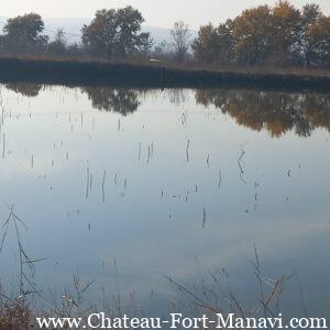 WhatsApp Image 2024-12-17 at 16.28.20(1)