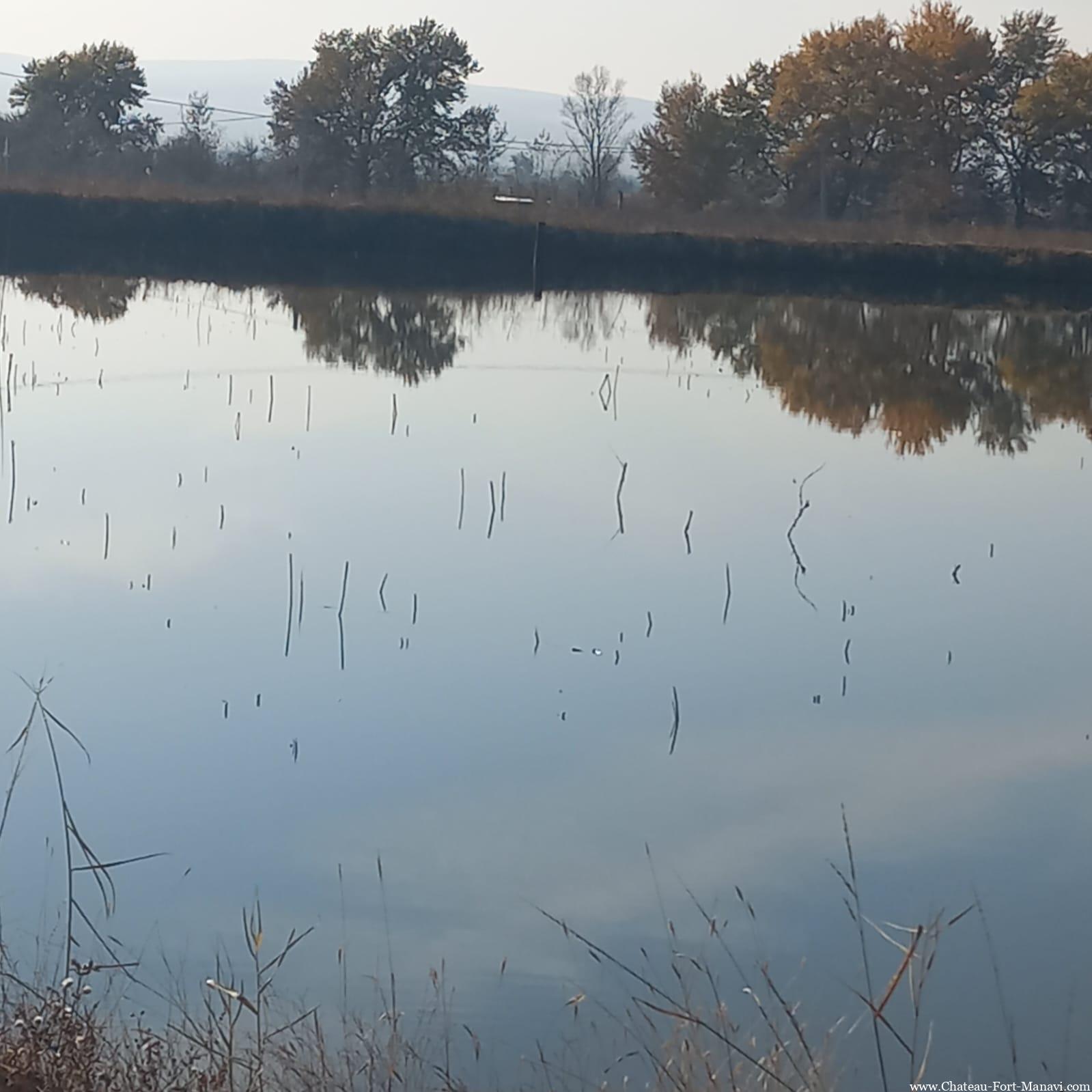 WhatsApp Image 2024-12-17 at 16.28.20(1)