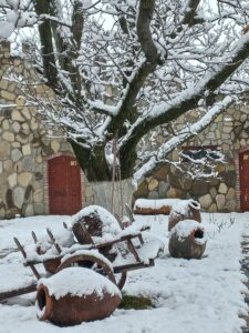 Chateu FORT de MANAVI- 2