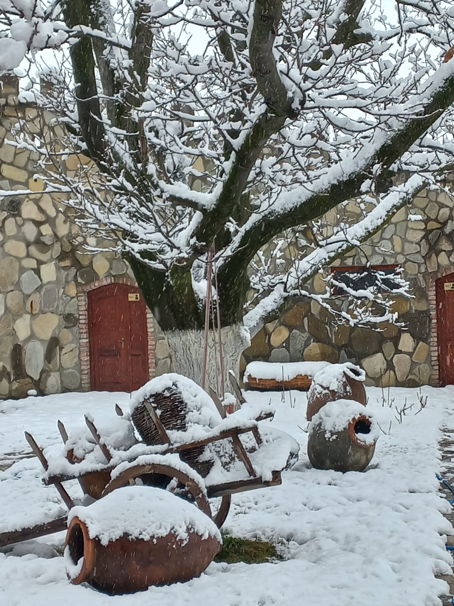 Chateu FORT de MANAVI- 2